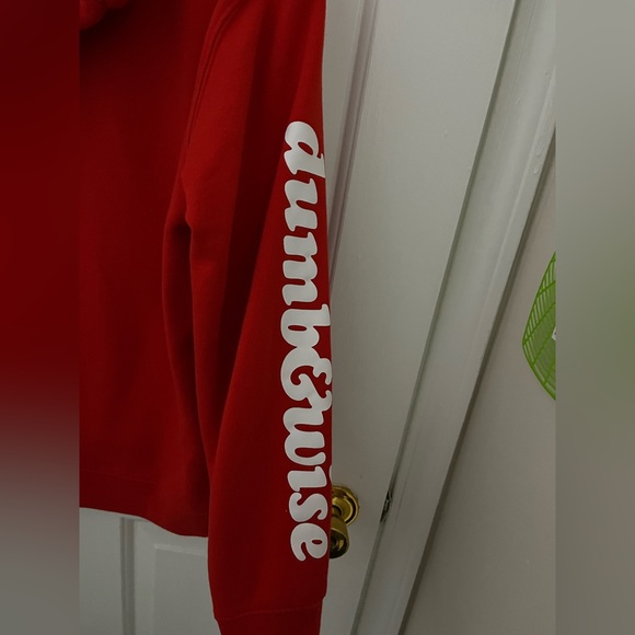 Sam Golbach Dumb and Wise Hoodie - Picture 4 of 5